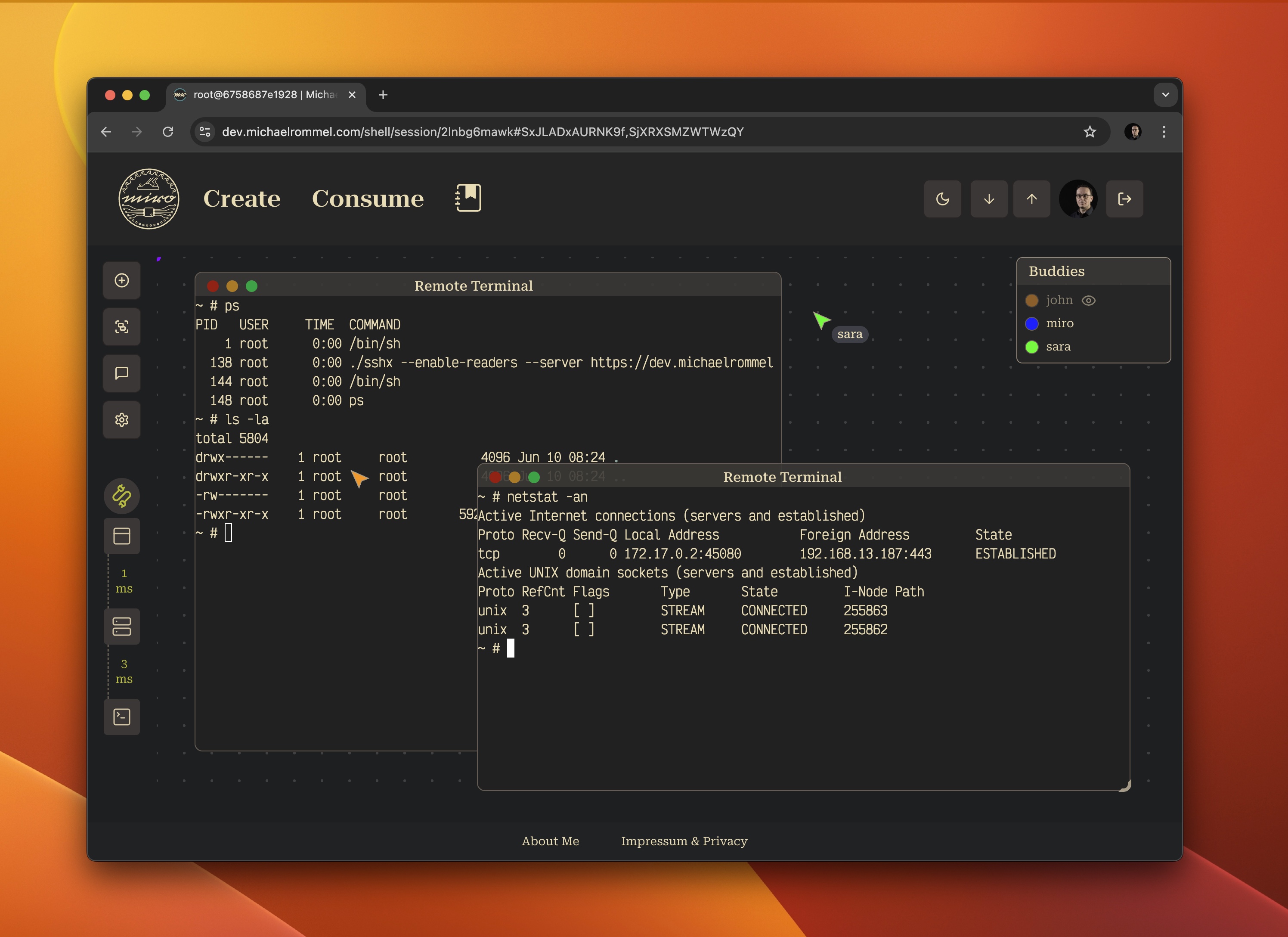 Image of a browser with two terminal windows